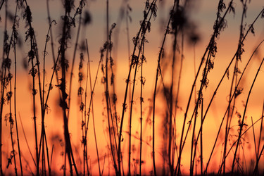 Similar image 5539430