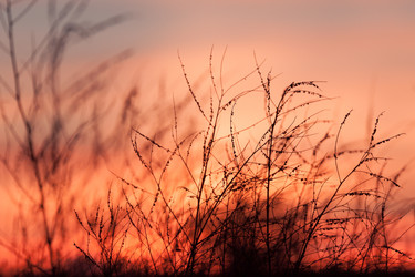 Similar image 5539433