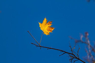 Similar image 5539451