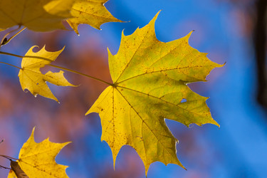 Similar image 5539456