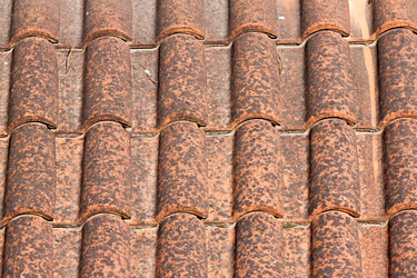 Similar image 5539457