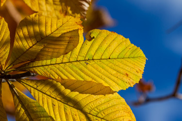 Similar image 5539461