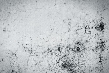 Similar image 5539463