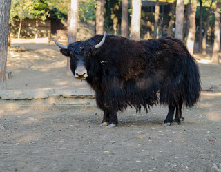 Similar image 5539518