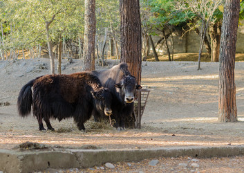 Similar image 5539519