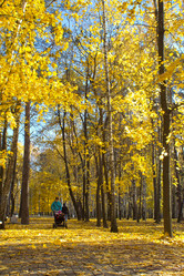 Similar image 5539522