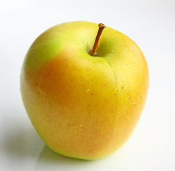 Similar image 5539530