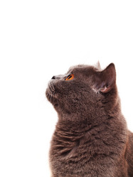 Similar image 5539575