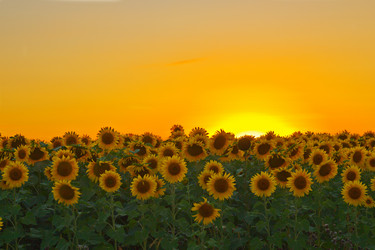 Similar image 5539618