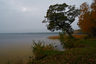 Similar image 5539648