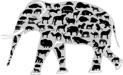 Similar image 5539665