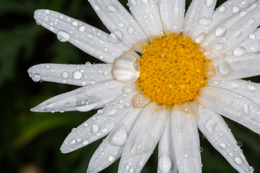 Similar image 5539703