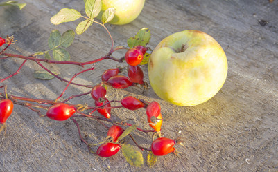 Similar image 5539718