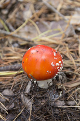 Similar image 5539723