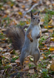 Similar image 5539829