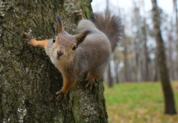 Similar image 5539831