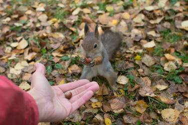 Similar image 5539832