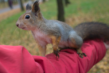 Similar image 5539833