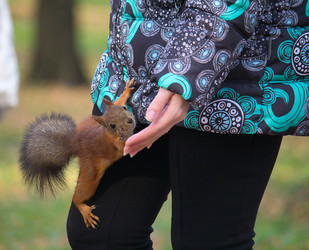 Similar image 5539835