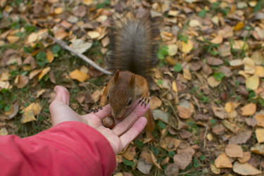 Similar image 5539836