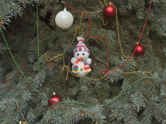 Similar image 5539882