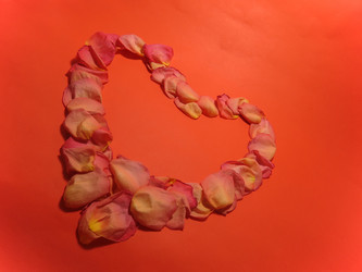 Similar image 5539885