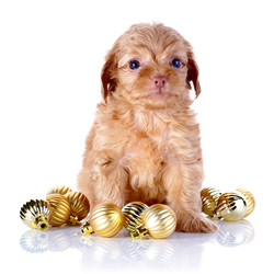 Similar image 5539929