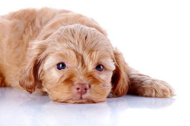 Similar image 5539932