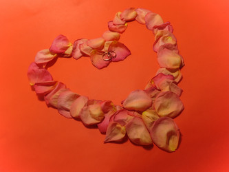 Similar image 5539955