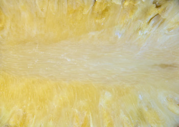 Similar image 5539973