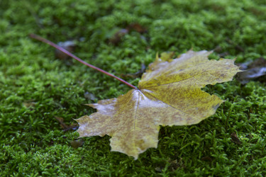 Similar image 5539977