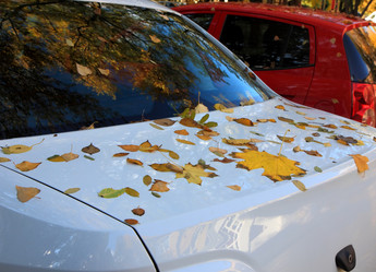 Similar image 5540000