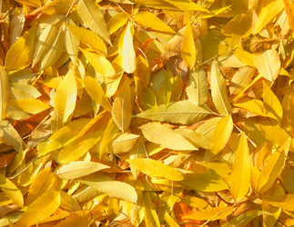 Similar image 5540015