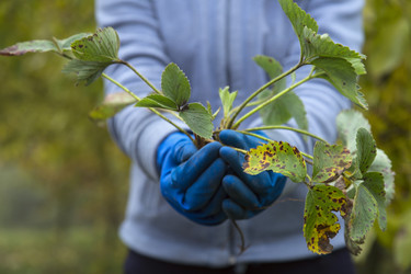 Similar image 5540019