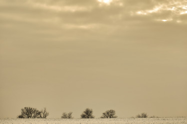 Similar image 5540083