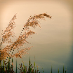 Similar image 5540085