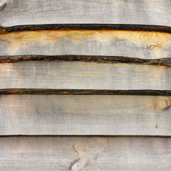 Similar image 5540087