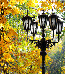 Similar image 5540094