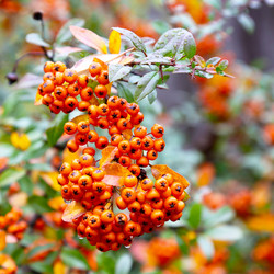 Similar image 5540095