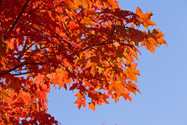 Similar image 5540164