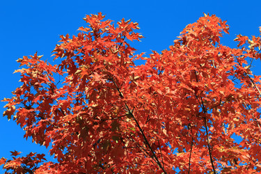 Similar image 5540166