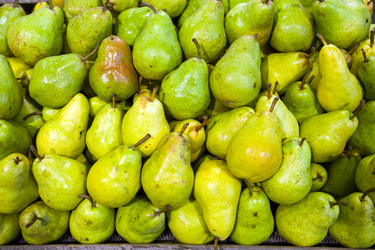 Similar image 5540169