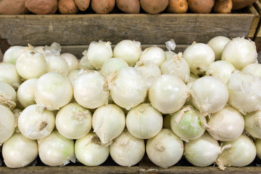 Similar image 5540174