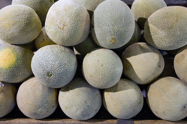 Similar image 5540176