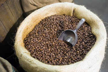 Similar image 5540177