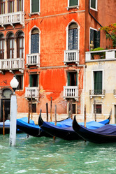 Similar image 5540184