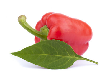 Similar image 5540200