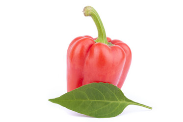 Similar image 5540201