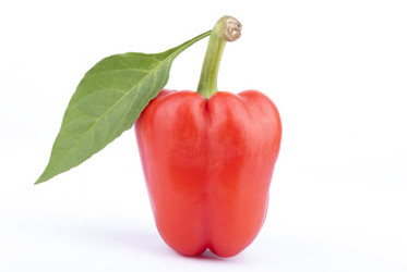 Similar image 5540202