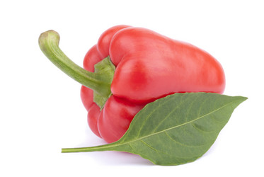 Similar image 5540208